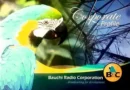 BRC Bauchi